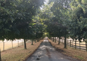 In peaceful location close to Farnham, Aldershot & Guildford