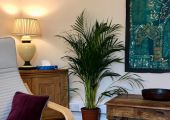 This is an example of one of the rooms that I work from.