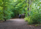 "Wild and free" walk and talks.