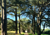 Being in the outdoors supports your mental wellbeing!