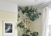 Therapy practice in N7 North London
