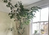 Therapy practice room in North London N7