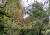 A peaceful riverside location