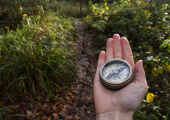 Let's find the best path for you