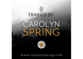 Harmony Therapy Practice Ltd - Accredited Counselling & Psychotherapy. Trauma informed practice.