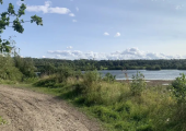 Walk and Talk Therapy