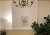 The therapy room