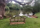 Cowdray pond