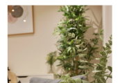 Victoria Simpson Counselling room in Battersea, South West London