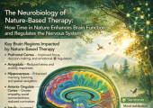 Nature-based walking therapy helps the nervous system shift from stress into balance.