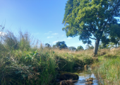 Places to reflect and relax