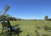 Walk and talk in the peaceful natural surroundings