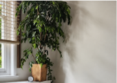 Step into a calm, supportive space to talk, heal and grow. Welcoming new clients for in-person and o