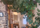 The Haven Health Clinic, Ashburton