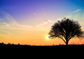 Visit me at www.cvvcounselling.com