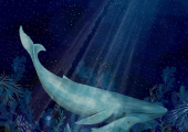 Dolphins symbolise curiosity, joy, intelligence and courage; Resilience can be light and strong.