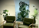calm counselling room