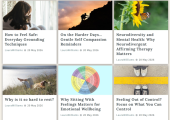 Laura Williams Counselling Blogs on Website Resources page