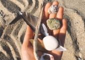 Natural, seasonal materials for art-making