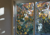 Natural light in the Earth Art Therapy studio