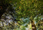 Resilience is about evolving amid uncertainty, not reverting to a previous state.