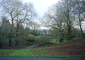 Dartington grounds