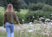 Bereavement & Loss Counselling
