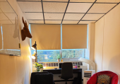 Comfortable and cosy counselling room in George Hodgson Therapy Room in Basingstoke