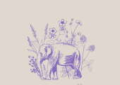 Elephant in the bloom