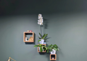 Therapy Room