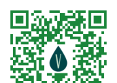 BOOK A FREE CONSULTATION
