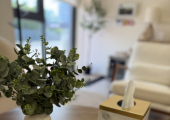 Thoughtful details create a warm, comfortable and confidential counselling space.