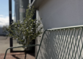A private ground-floor entrance with step-free access.