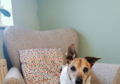 My Office Companion