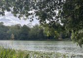 Walking in nature can help reconnect with yourself and sooth anxiety