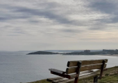 Space to talk, breathe and reconnect in nature.