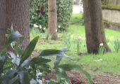 Calm and peaceful location with free parking and great transport links.
