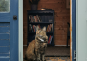 A quiet welcome awaits and Kimmy may occasionally be there to greet you too.