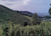 Eco-therapeutic nature based settings. To walk, talk at sit; or engage with the elements and senses.