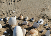 (In/outdoor stone and sand work - recognising relationships, boundaries and where we want to be