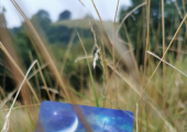 Archetype, oracle and cue cards