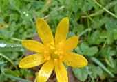 Inspiration from nature