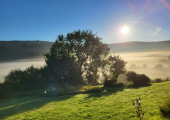 Stunning views from the Peakland Therapy office!