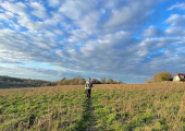 My counselling offers opportunities to walk and talk or integrate contact with nature in our work