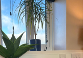 Countryside views from the counselling space