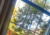 Window