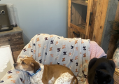 These two will only join on request