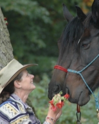 Louise Epona Pell - Equine Assisted Counselling Louise Epona Pell - Equine Assisted Counselling