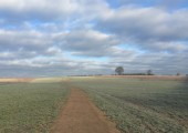 Heartwood - Walk and Talk location - Try my unique 'Walk and Talk' service.