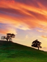 Jo Brooks CTA - (P) Psycotherapist. (MSc) UKCP & UKATA Reg Jo Brooks CTA - (P) Psycotherapist. (MSc) UKCP & UKATA Reg